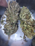 Hawaiian Haze - 15.9% CBD