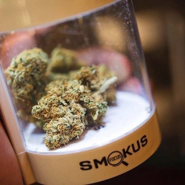 Eclipse Jar by Smokus Focus - Stash Jar with LED Magnification